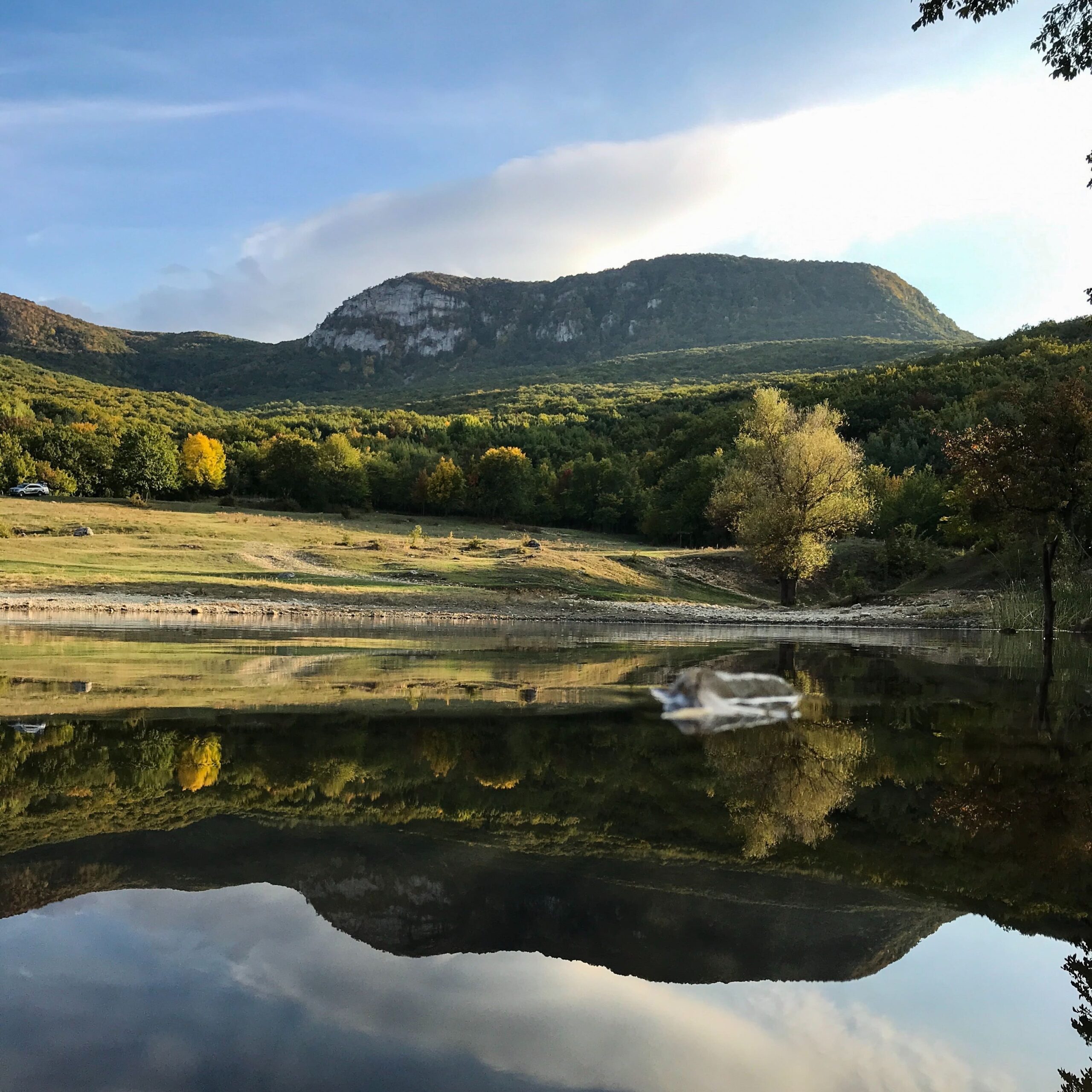 Cogeneración y Biomasa